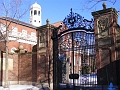 Harvard_Cheeky (1)